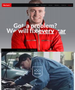 Mechanic 2